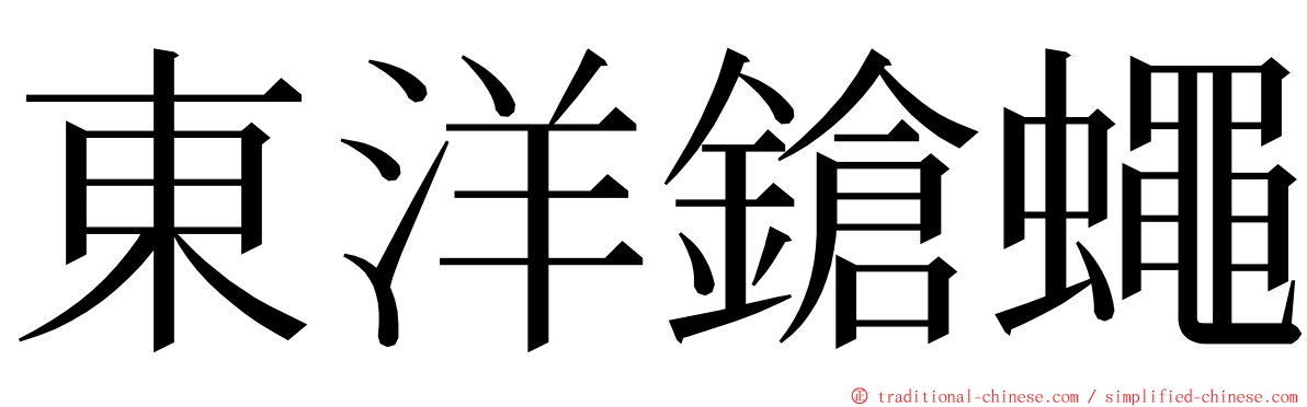 東洋鎗蠅 ming font