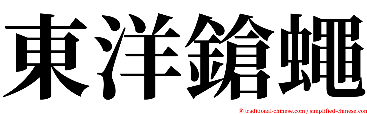 東洋鎗蠅 serif font