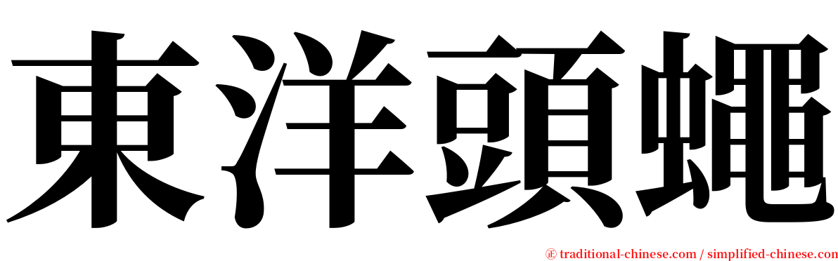 東洋頭蠅 serif font