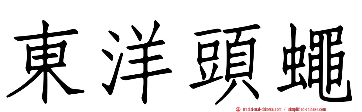 東洋頭蠅