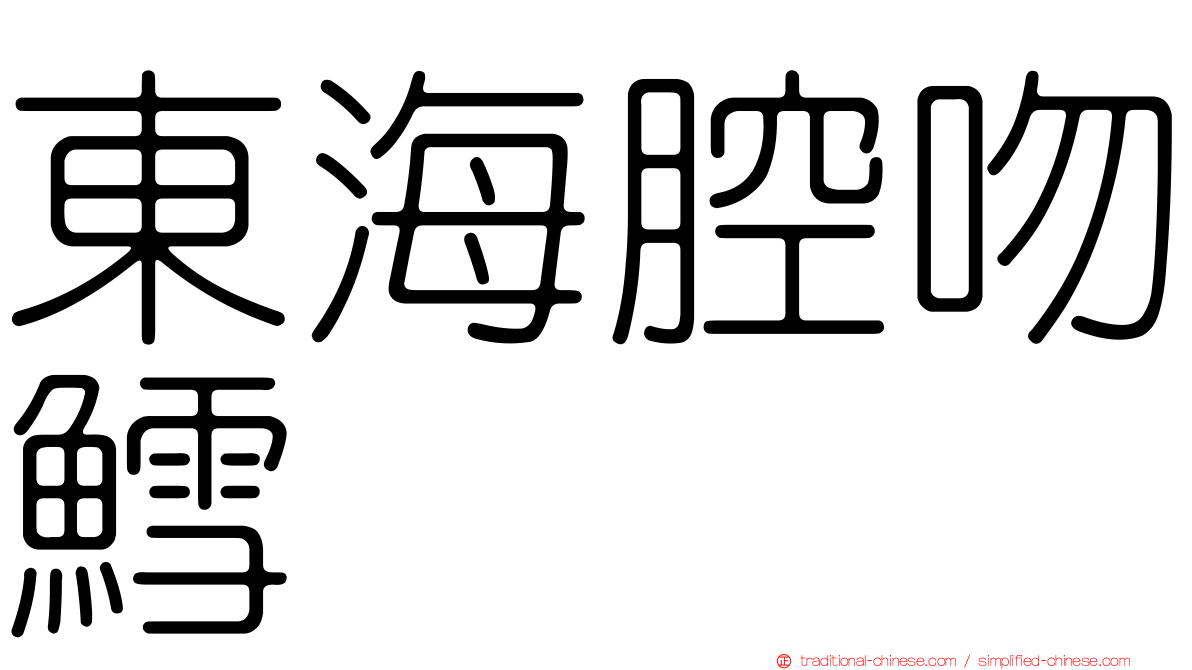 東海腔吻鱈