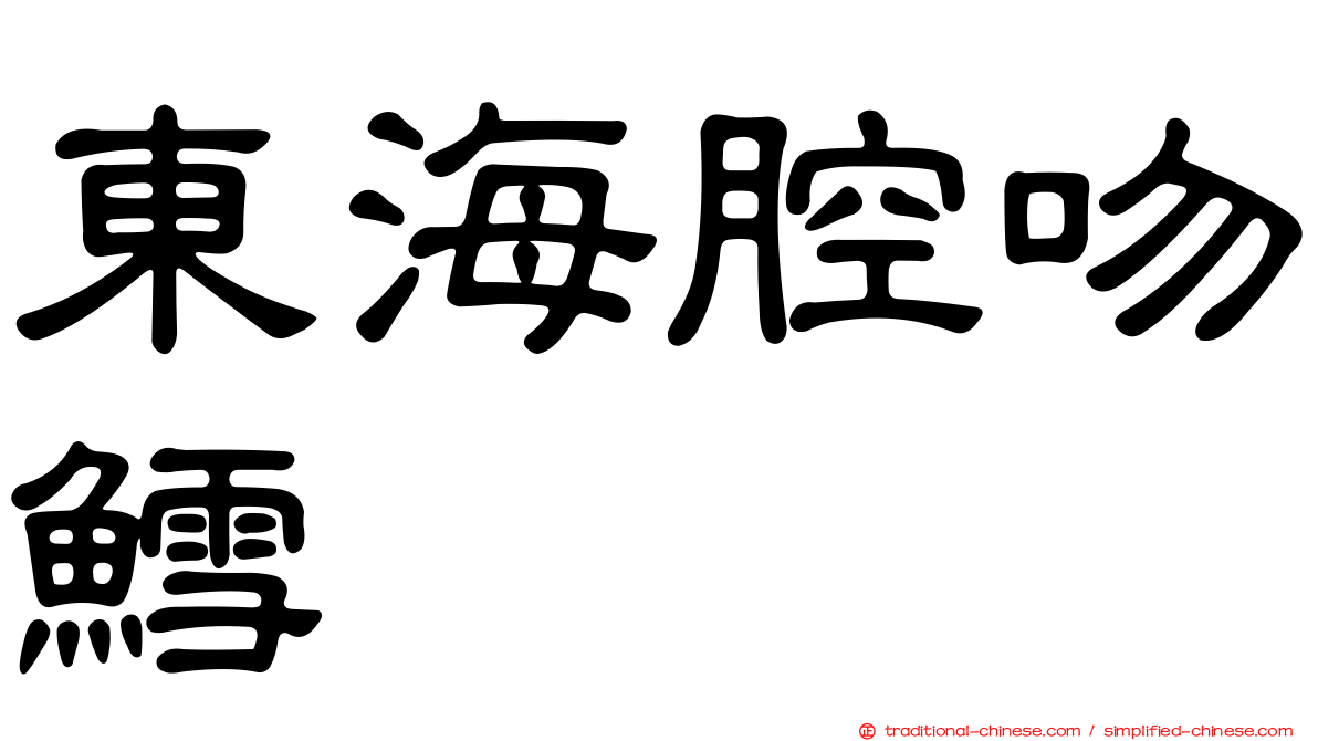 東海腔吻鱈