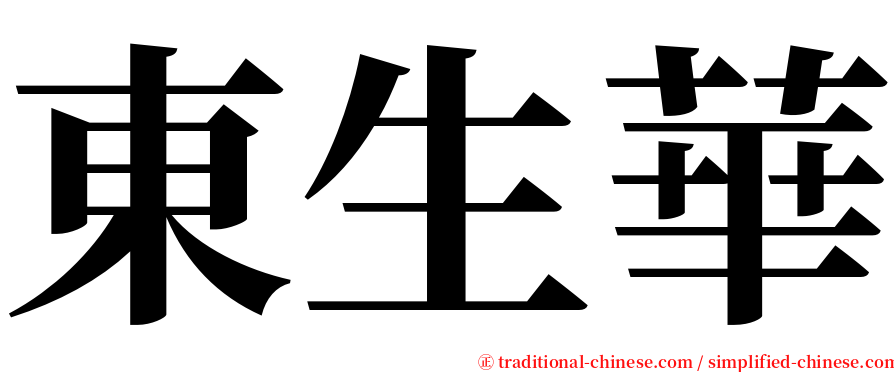 東生華 serif font