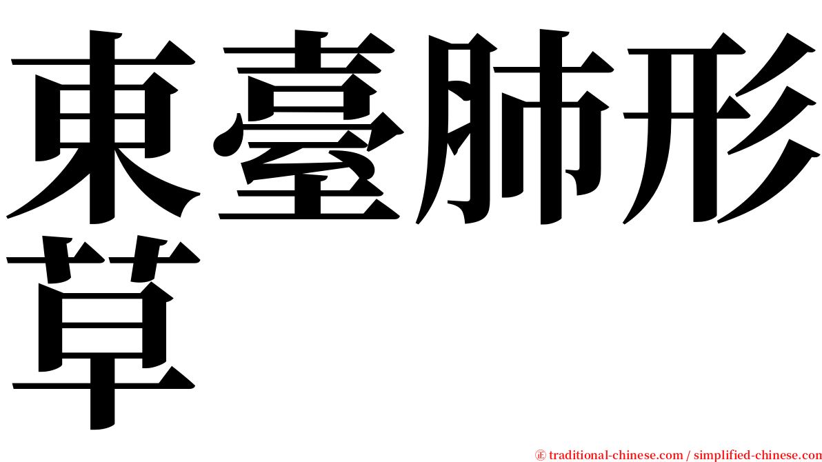 東臺肺形草 serif font