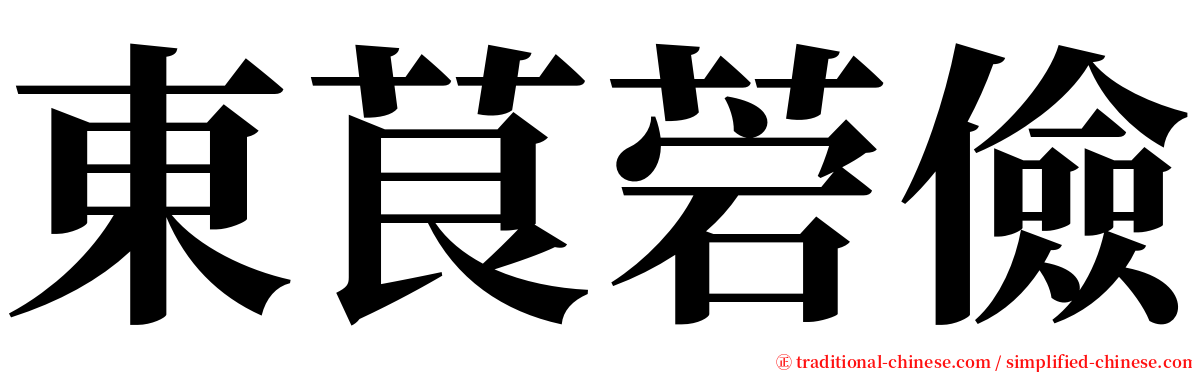 東茛菪儉 serif font