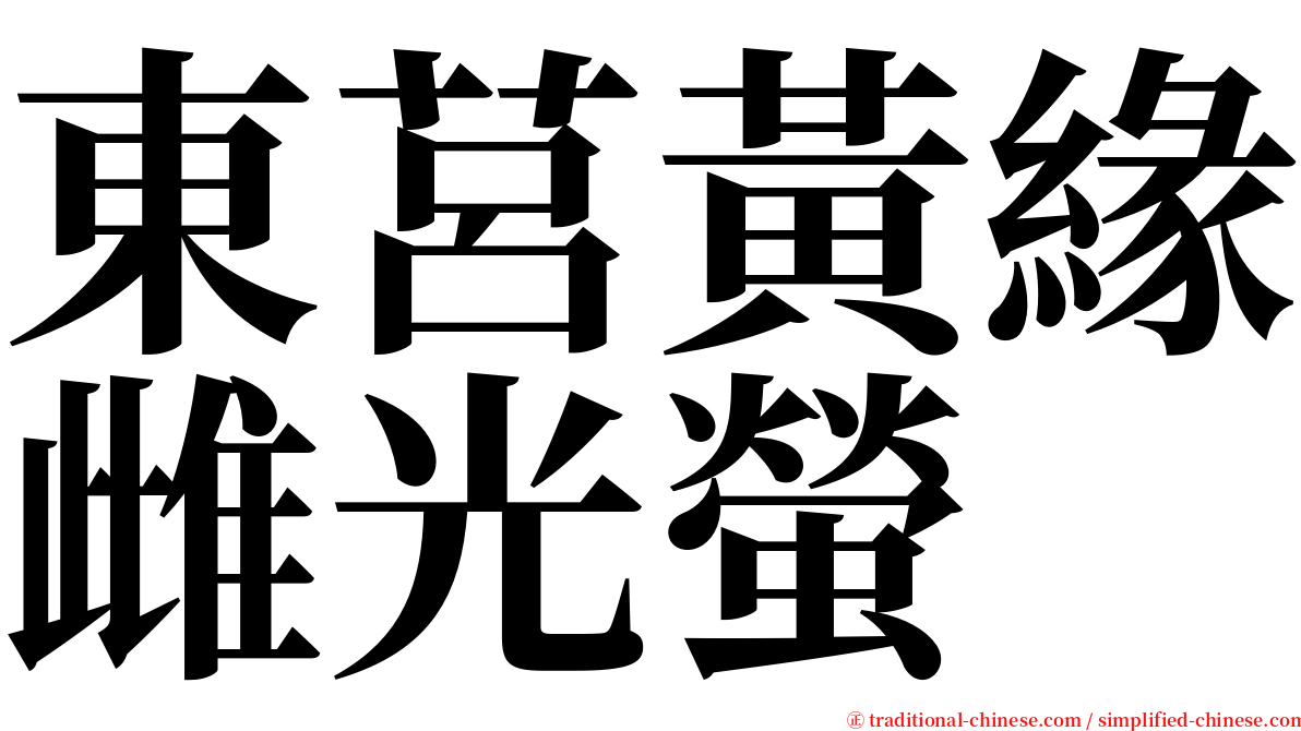 東莒黃緣雌光螢 serif font