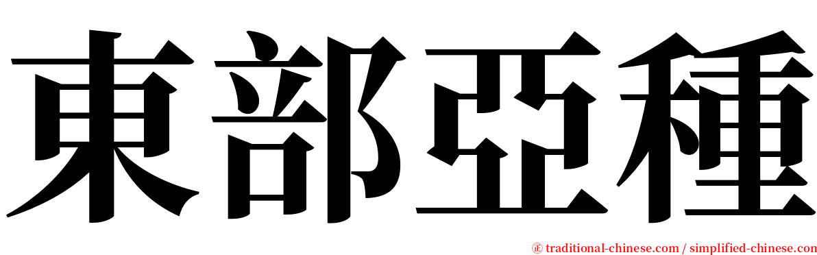 東部亞種 serif font