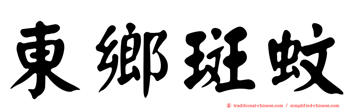 東鄉斑蚊