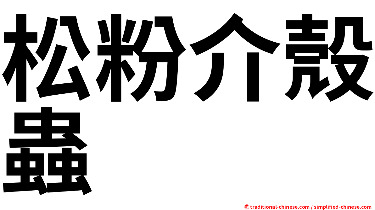 松粉介殼蟲