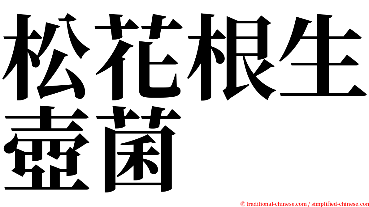 松花根生壺菌 serif font