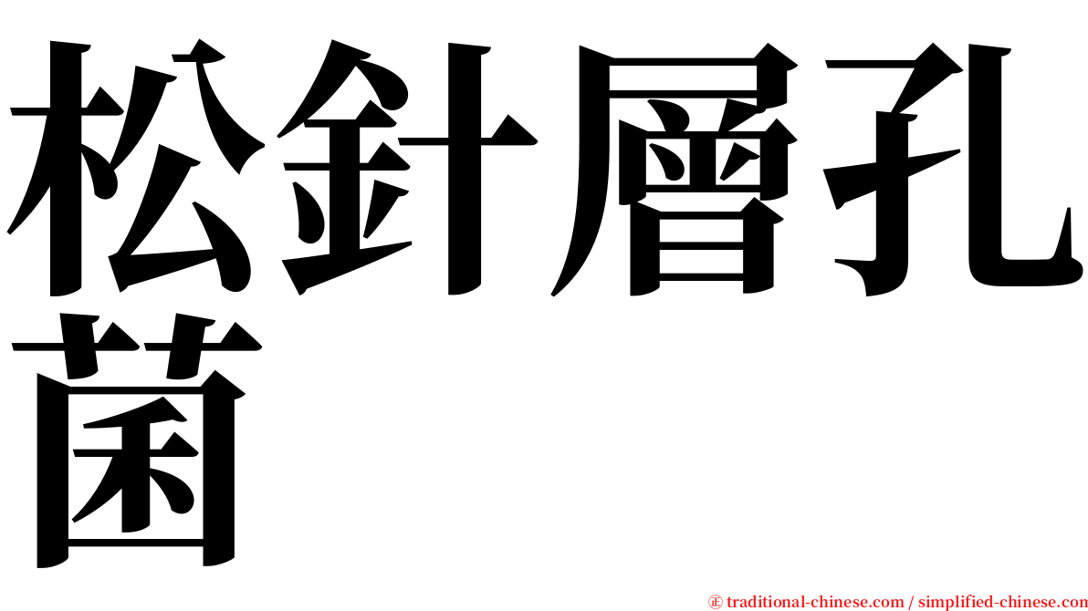 松針層孔菌 serif font