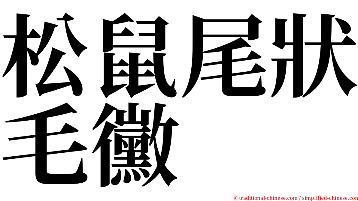 松鼠尾狀毛黴 serif font