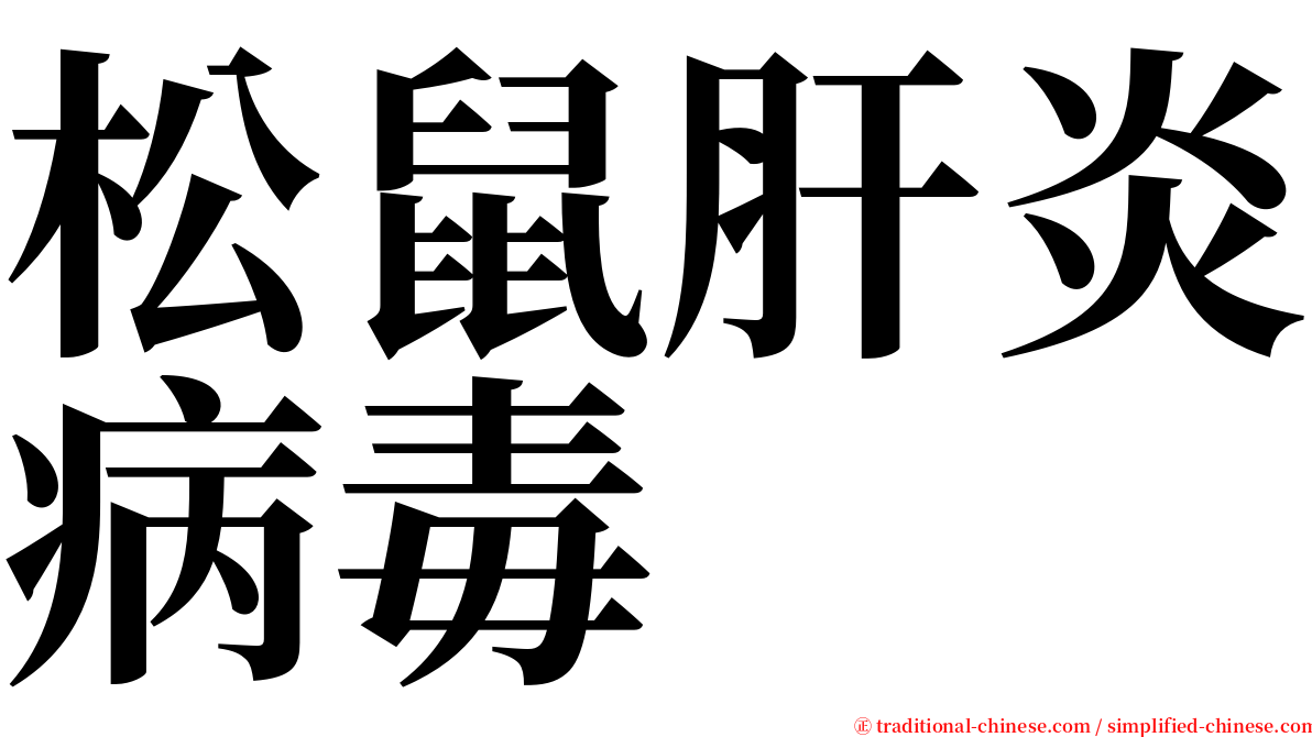 松鼠肝炎病毒 serif font