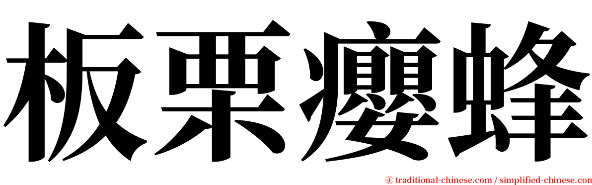 板栗癭蜂 serif font