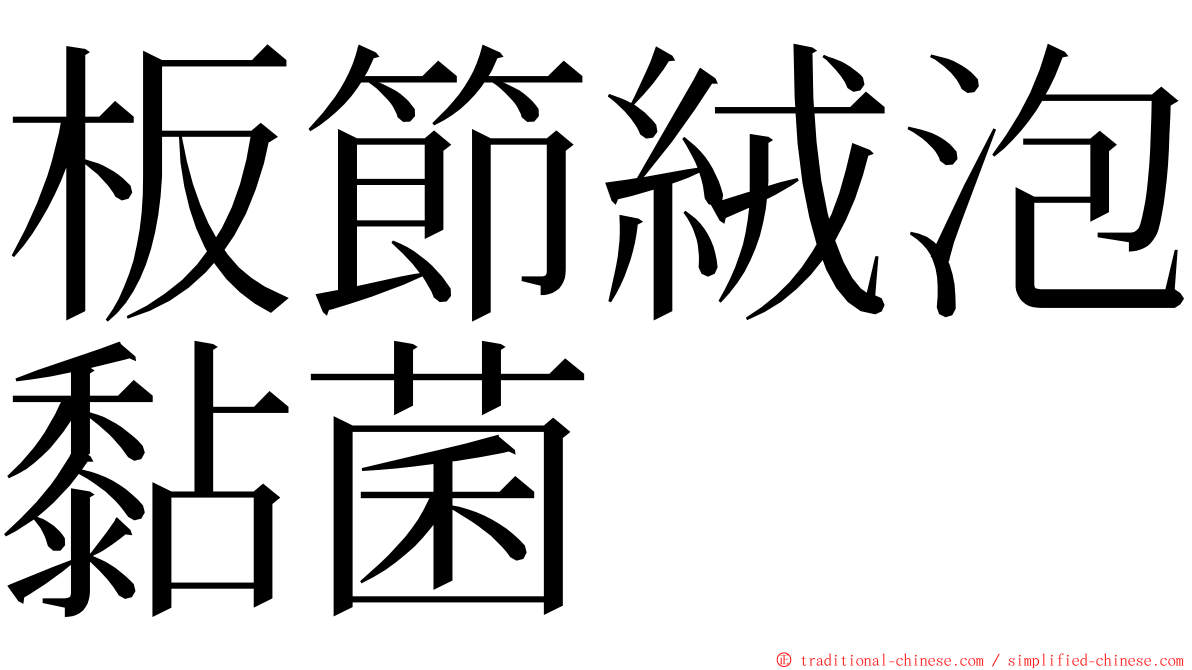 板節絨泡黏菌 ming font