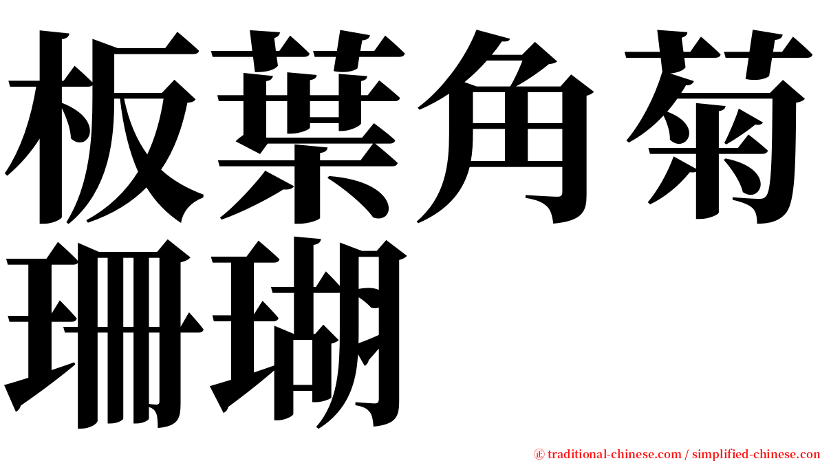 板葉角菊珊瑚 serif font