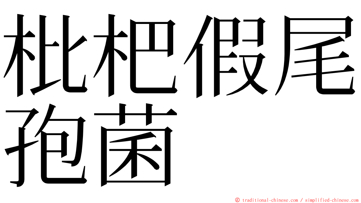 枇杷假尾孢菌 ming font