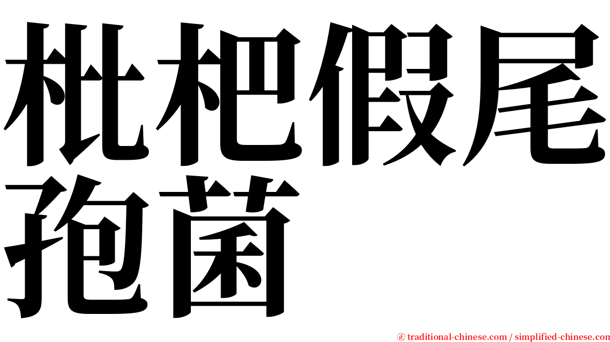 枇杷假尾孢菌 serif font