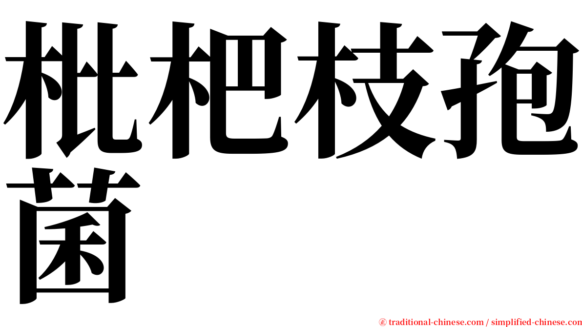 枇杷枝孢菌 serif font