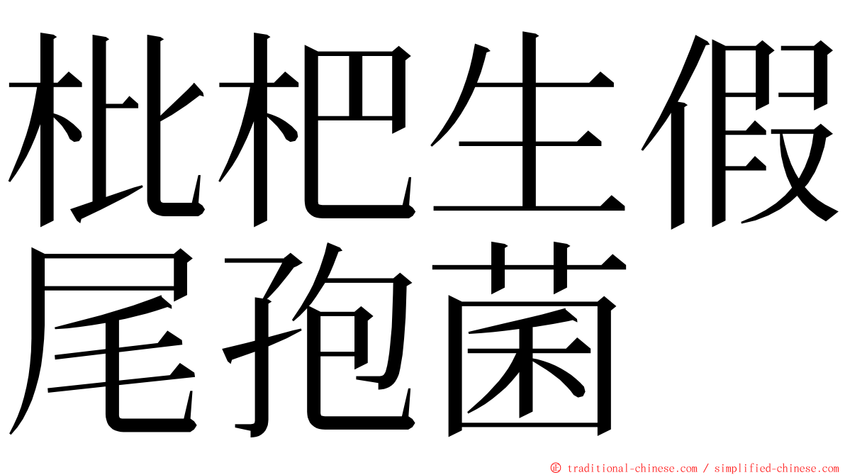 枇杷生假尾孢菌 ming font