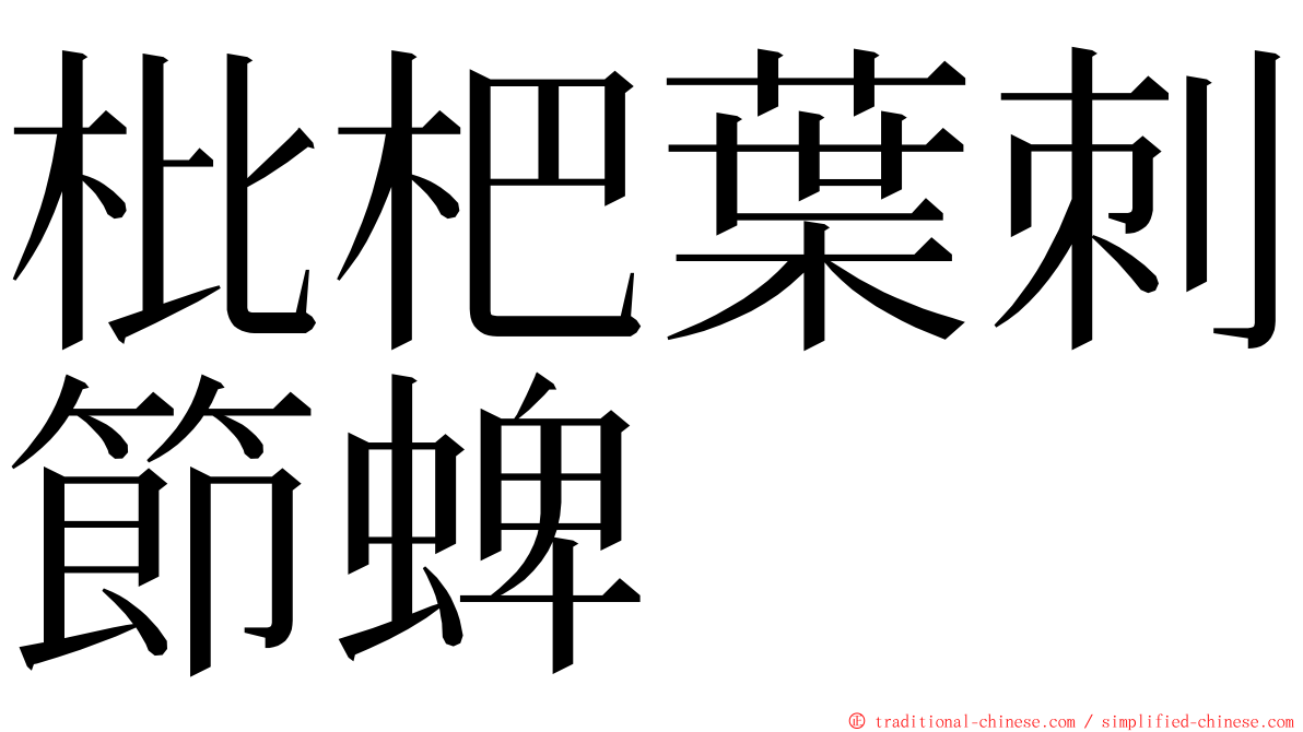 枇杷葉刺節蜱 ming font