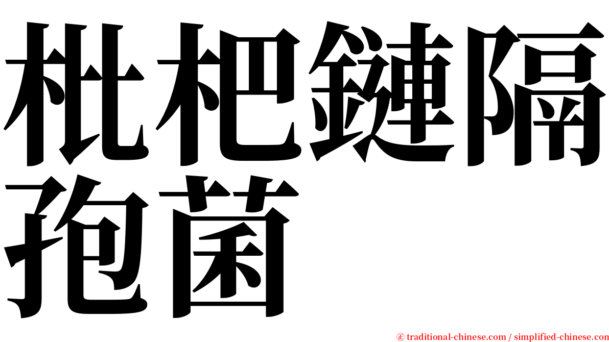 枇杷鏈隔孢菌 serif font