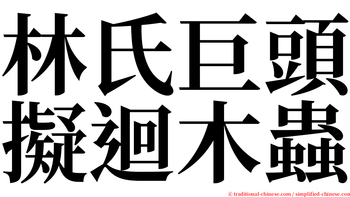 林氏巨頭擬迴木蟲 serif font