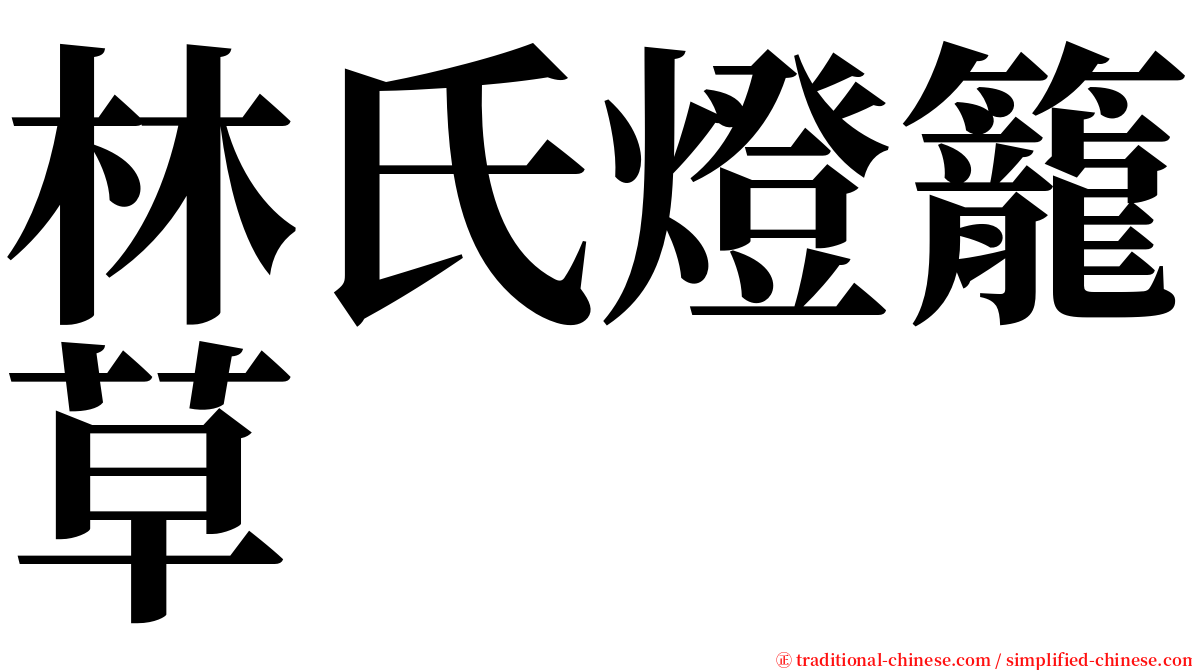林氏燈籠草 serif font