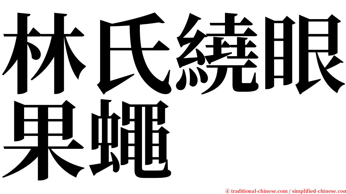 林氏繞眼果蠅 serif font