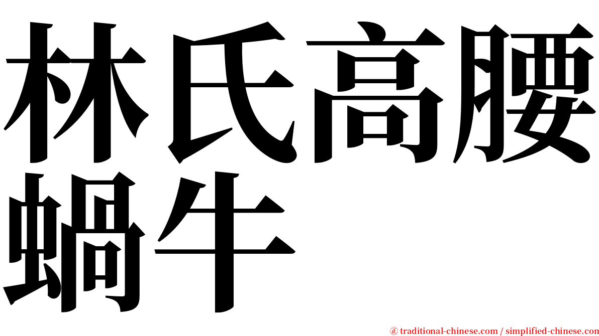 林氏高腰蝸牛 serif font