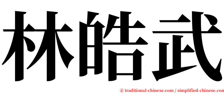 林皓武 serif font