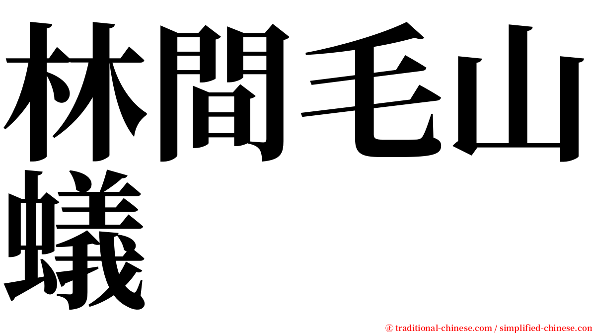 林間毛山蟻 serif font