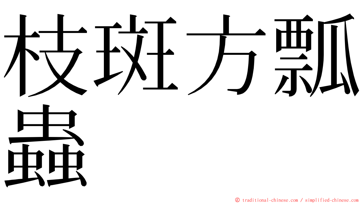 枝斑方瓢蟲 ming font