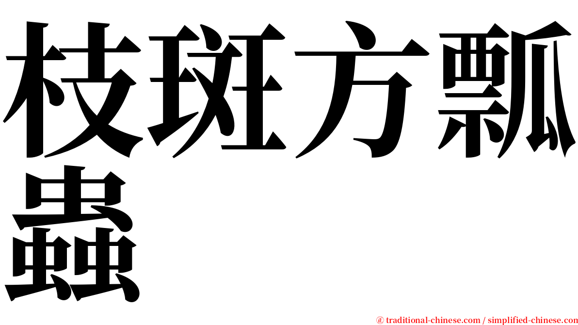 枝斑方瓢蟲 serif font