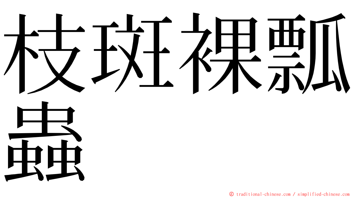 枝斑裸瓢蟲 ming font