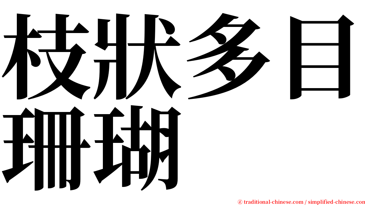 枝狀多目珊瑚 serif font