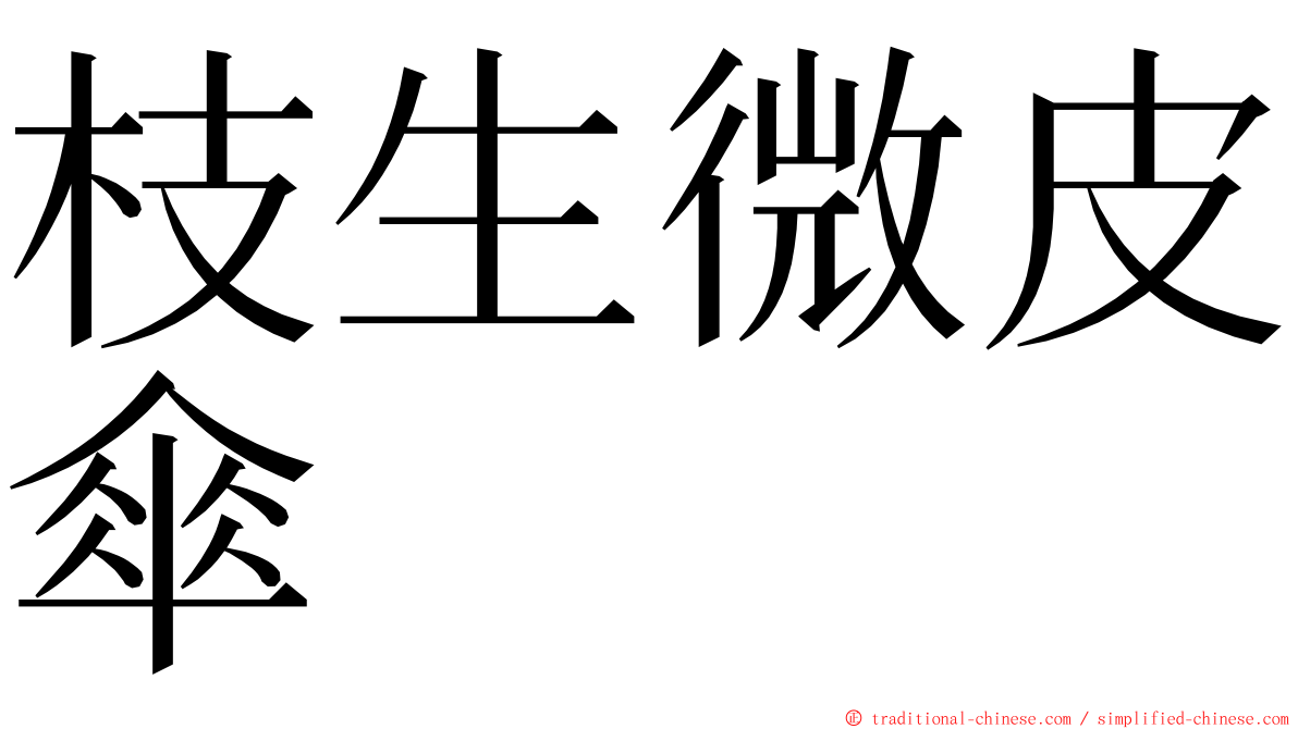 枝生微皮傘 ming font