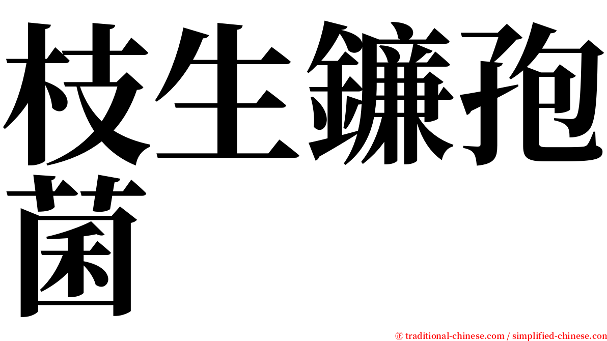 枝生鐮孢菌 serif font