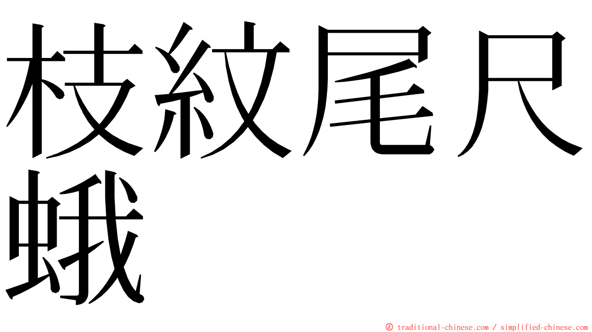 枝紋尾尺蛾 ming font