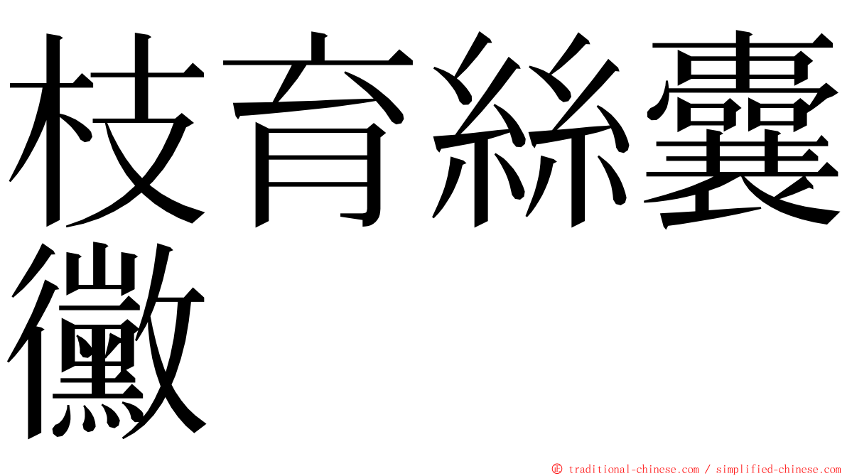 枝育絲囊黴 ming font