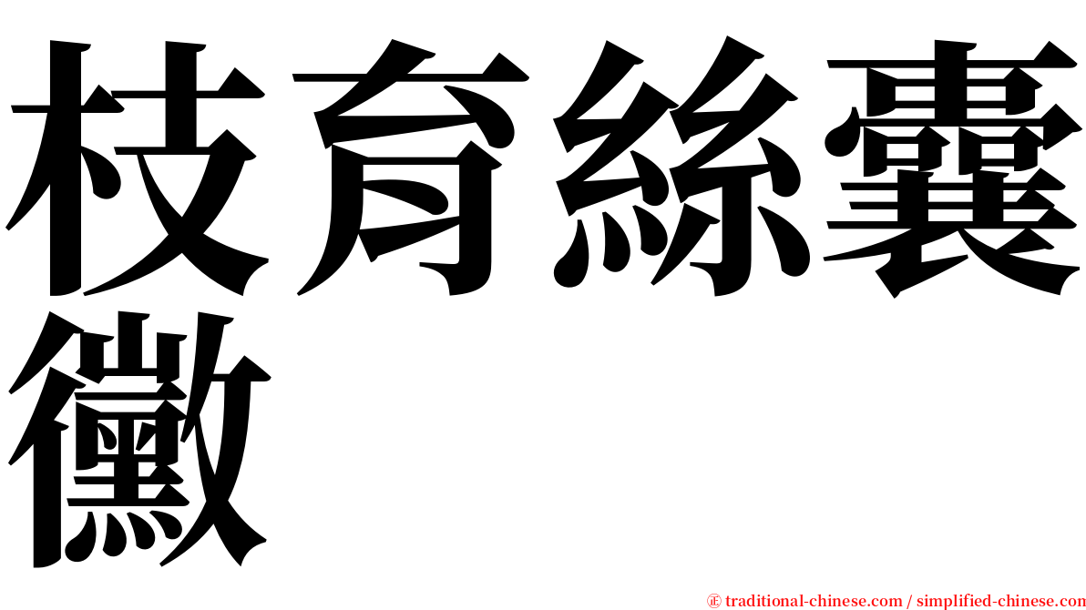 枝育絲囊黴 serif font