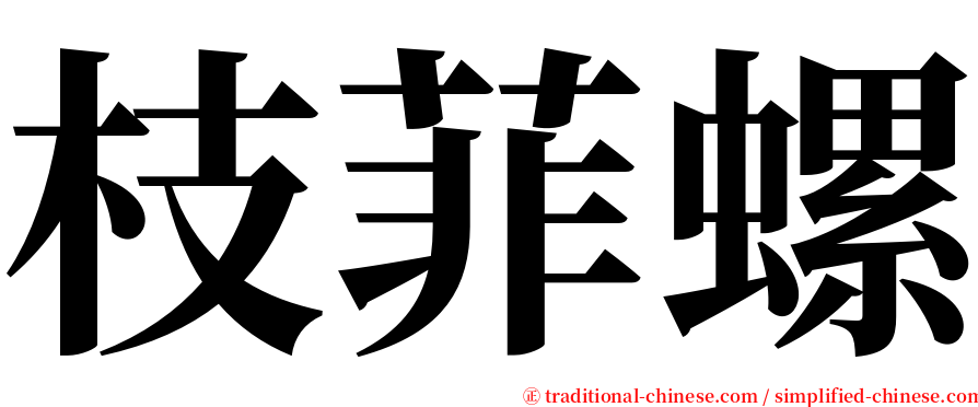 枝菲螺 serif font