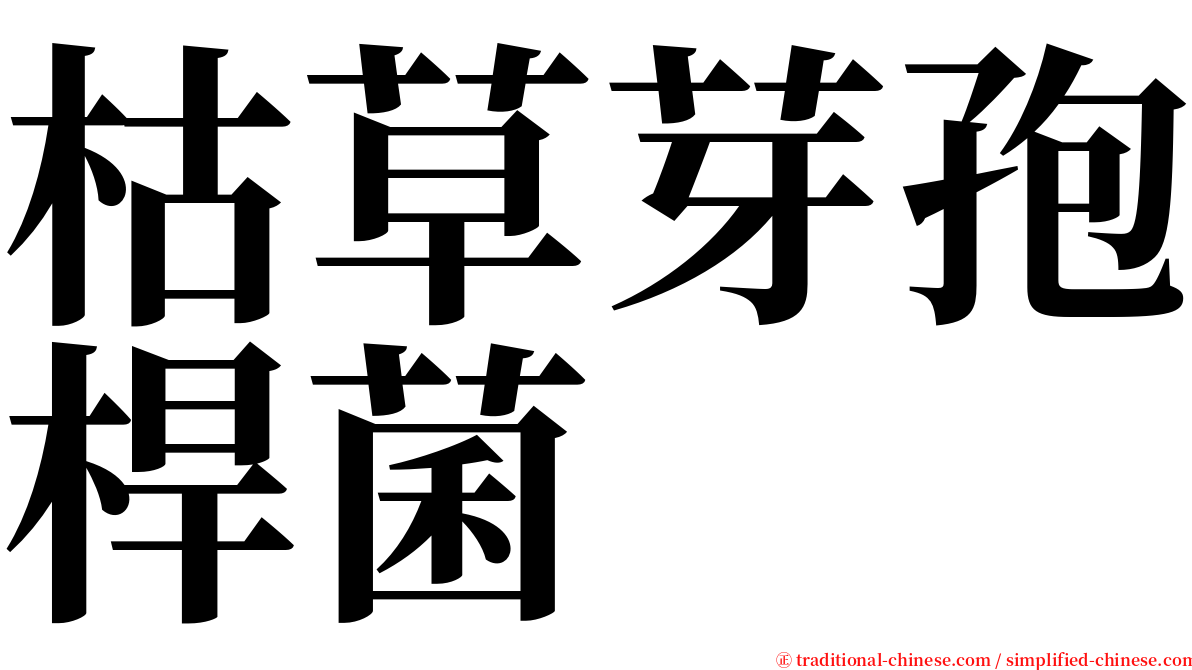 枯草芽孢桿菌 serif font