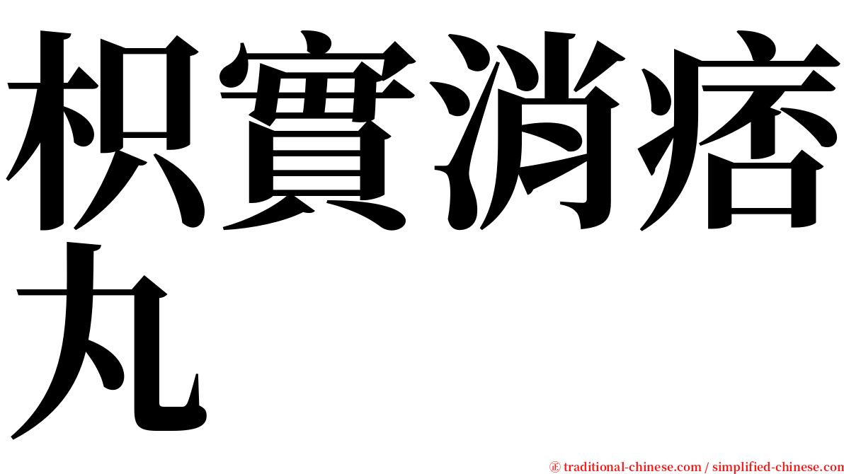 枳實消痞丸 serif font