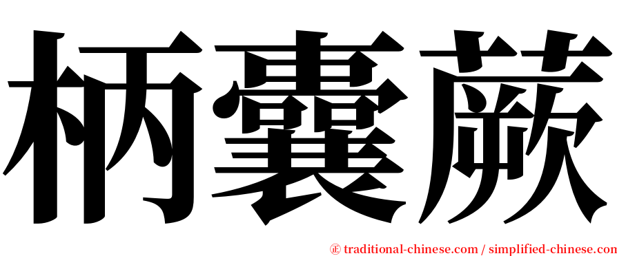 柄囊蕨 serif font