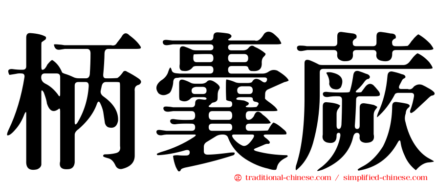 柄囊蕨