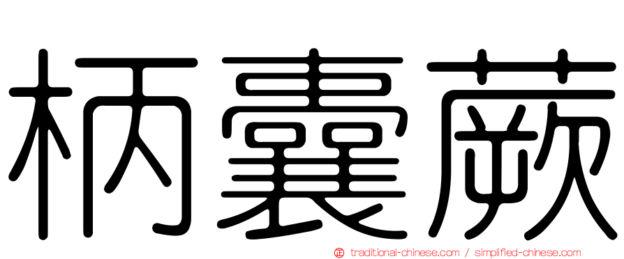 柄囊蕨