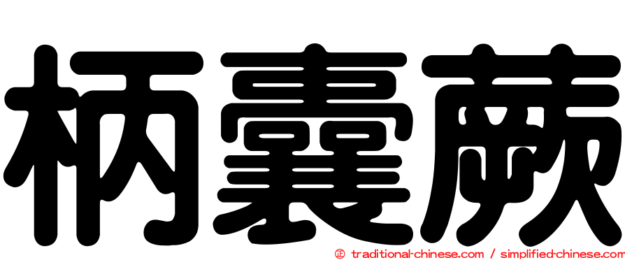 柄囊蕨