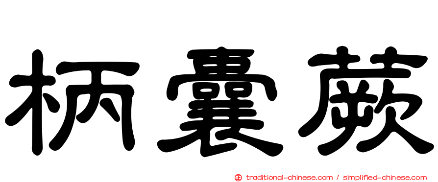 柄囊蕨