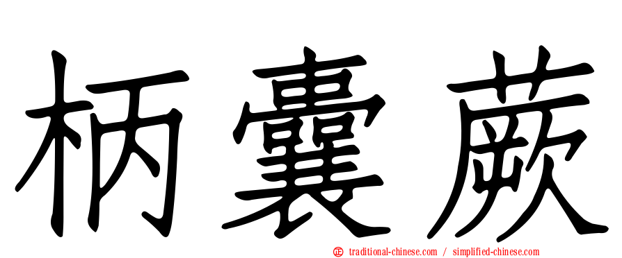 柄囊蕨